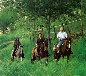 cavallo